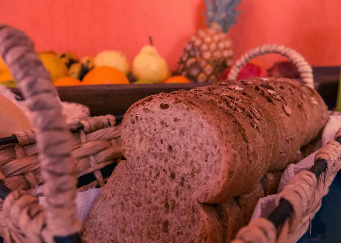 La Tana Del Tano Guesthouse Búzios